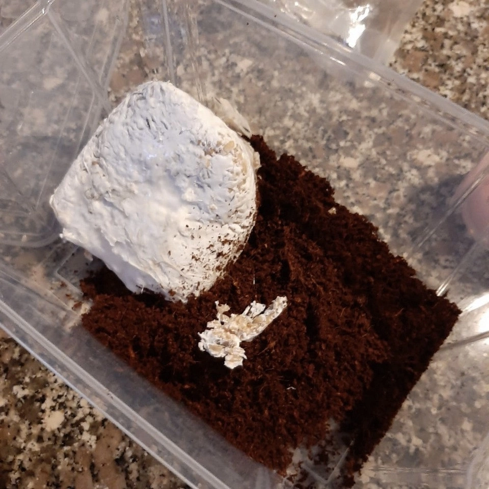 Materiali necessari