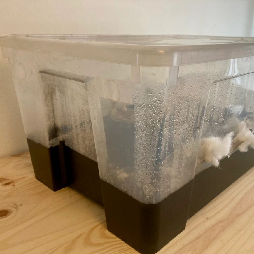 Monotub